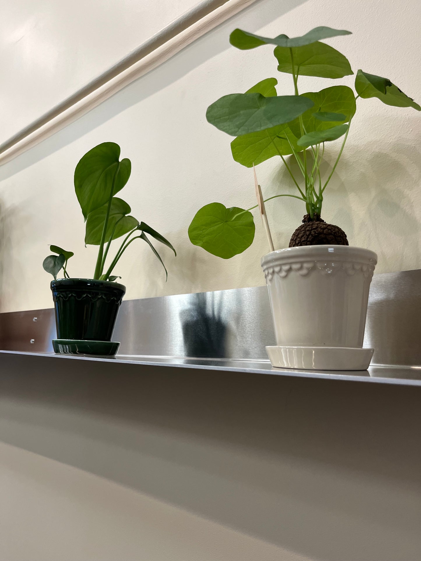 Matted / Reflective Aluminium Wall Shelf