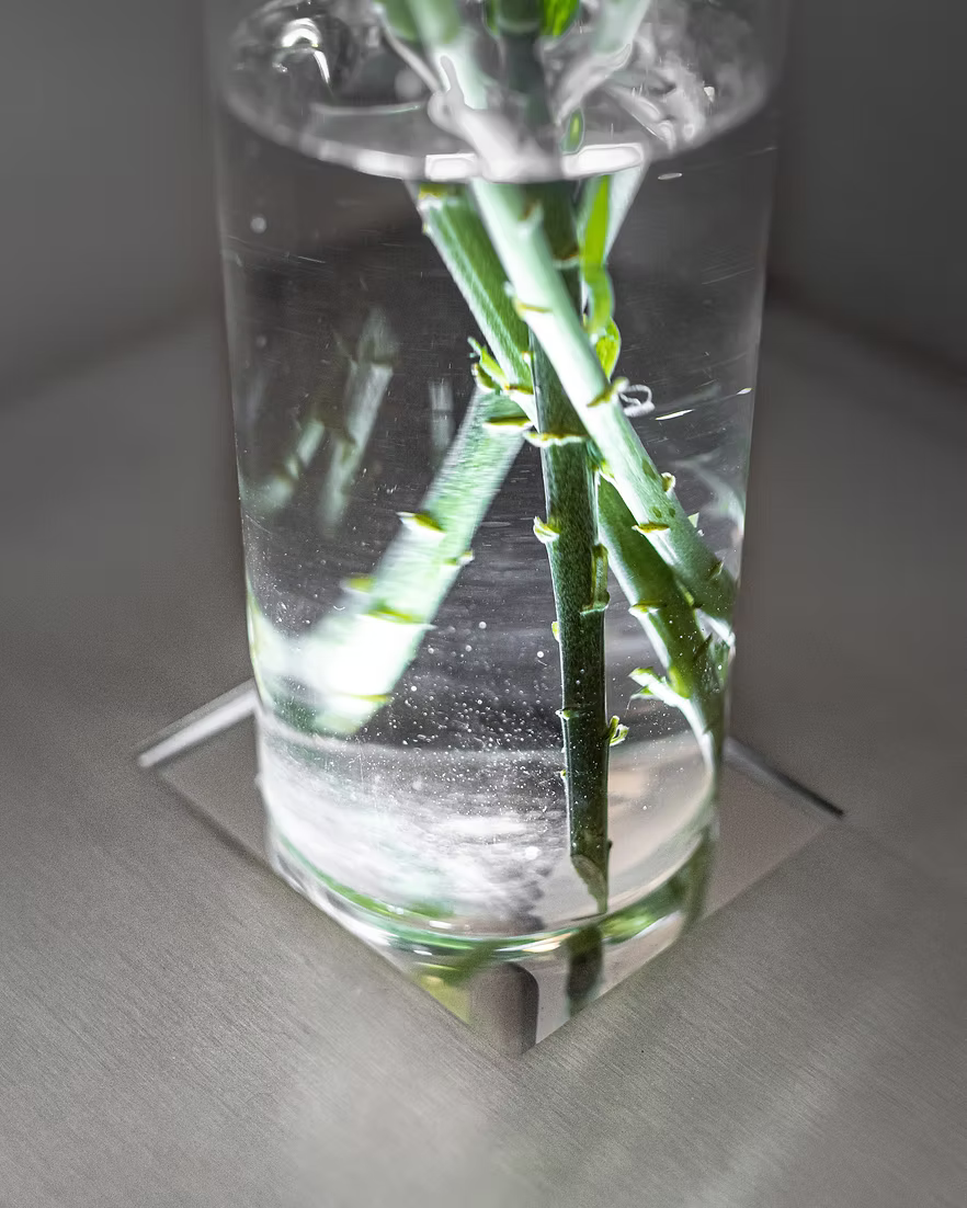 [MODULINE] Stainless Steel Sideboard