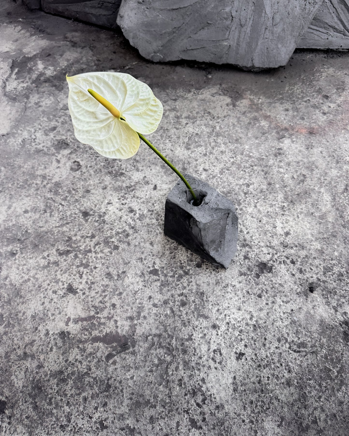 Black Concrete Flower Vases