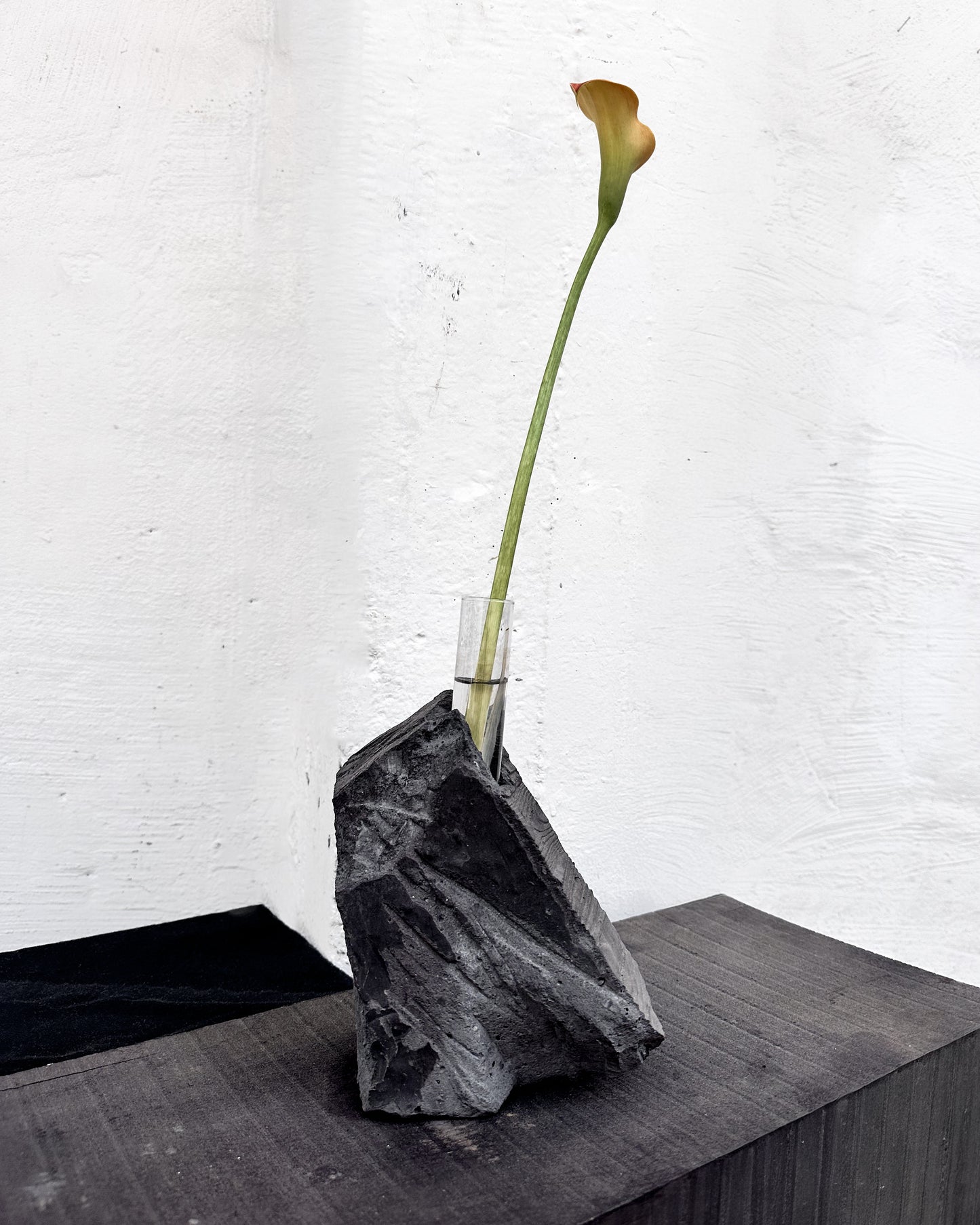 Black Concrete Flower Vases