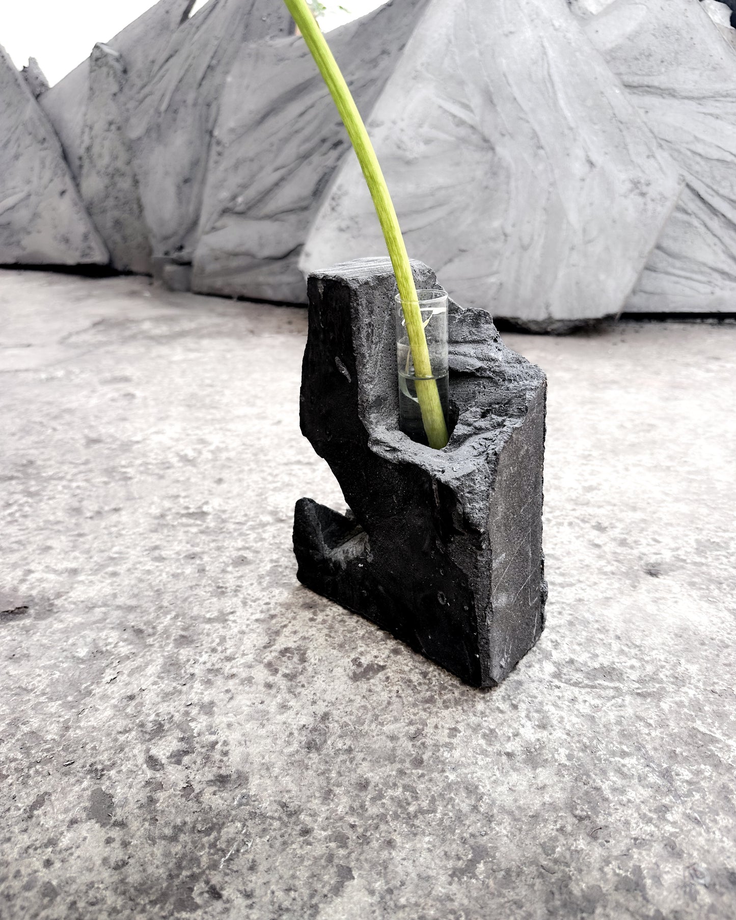 Black Concrete Flower Vases