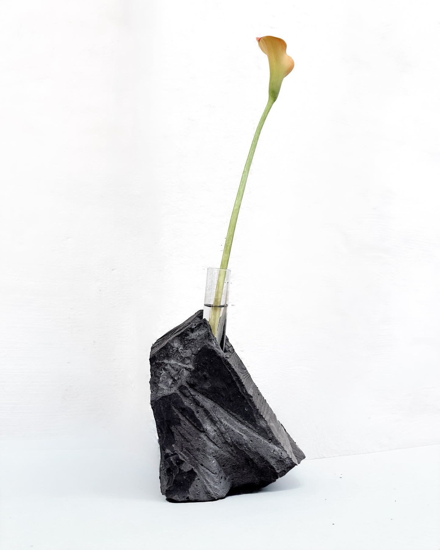 Black Concrete Flower Vases